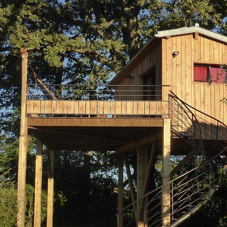 La Cabane Perchee Du Faucon Frechou-Frechet Exteriér fotografie