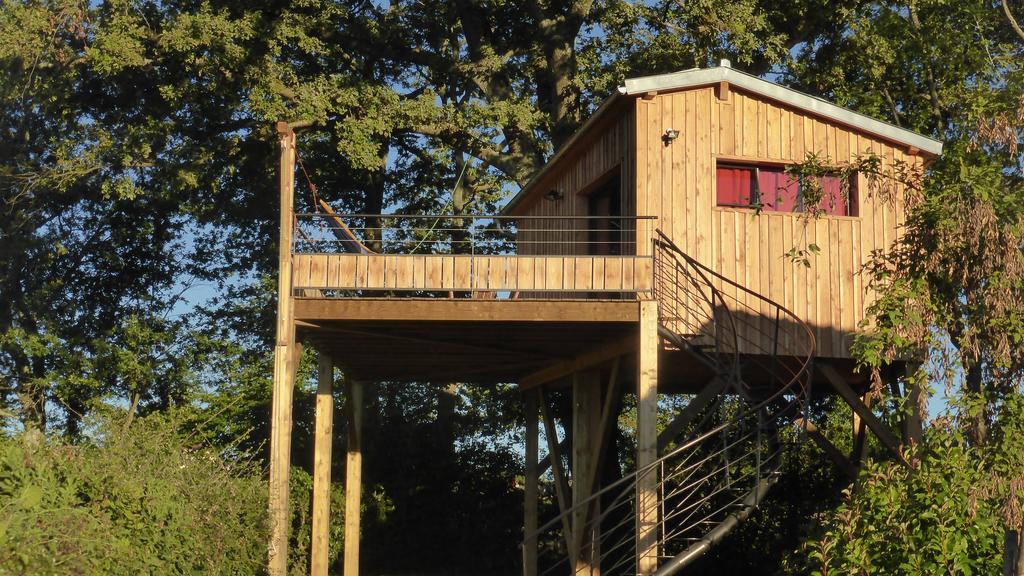 La Cabane Perchee Du Faucon Frechou-Frechet Exteriér fotografie